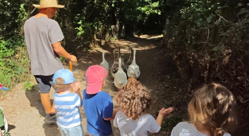 9 Colònies La Farga del Montseny